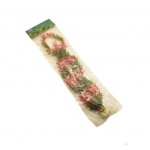 ΔΙΑΚΟΣΜΗΤΙΚΟ ΦΥΤΟ ΕΝΥΔΡΕΙΟΥ ΣΕ 3 ΣΧΕΔΙΑ